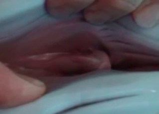 Take a look at how dolphin is looking like inside