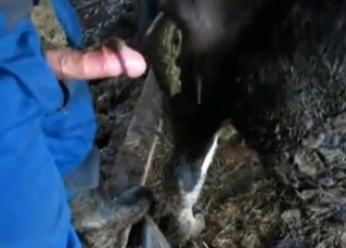 Farm XXX bestiality with a pony and farmer