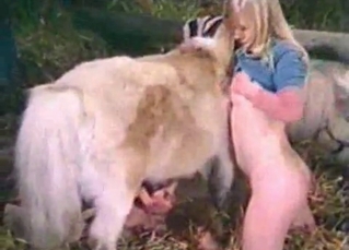 Two ladies and a horse