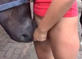 Beauty in red seducing a black dog